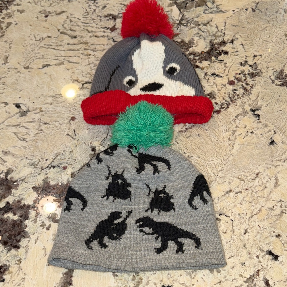 Target Gray 🦕 Knit Beanie and children’s place puppy 🐶 beanie Set little boy